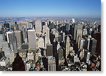 豊富な企業情報